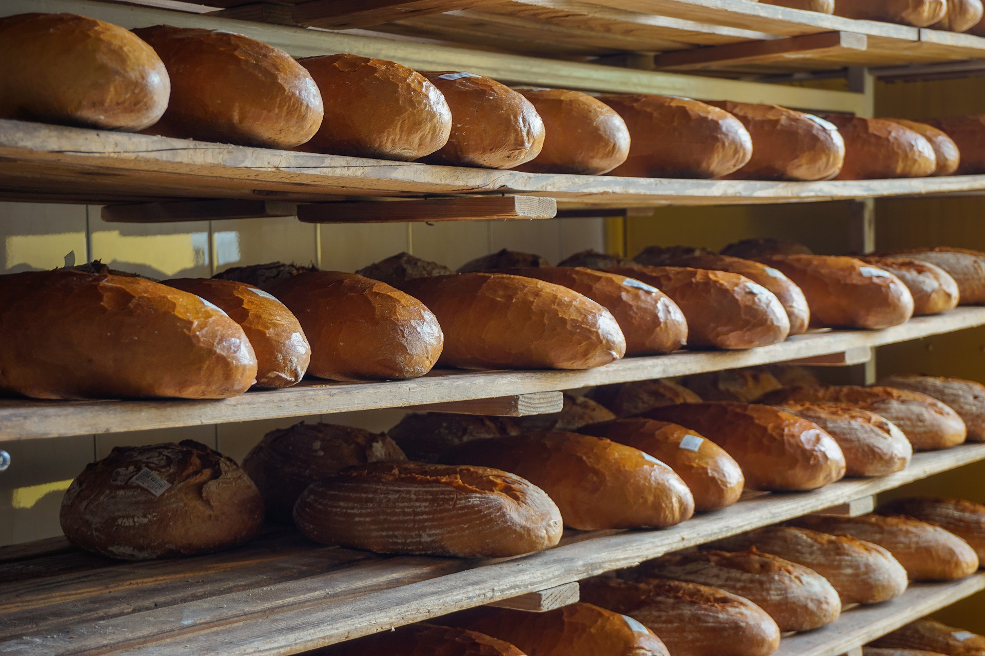 食品 製パン 業界規模 業界動向 企業ランキング Bizvoices